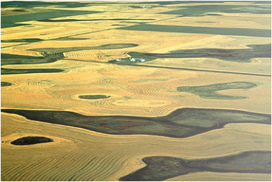 Interior Plains The Amazing Regions Of Canada By Kaden